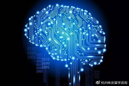 深入解读美国留学计算机科学（CS）专业 | 文章全面科普