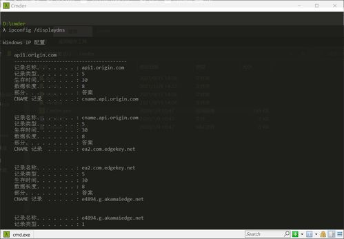 计算机网络验证性实验 从理论到实践的关键桥梁
